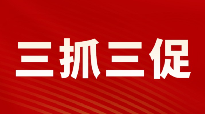 三抓三促进行时丨开云在线登录- 开云（中国）集团召开重点项目调度会