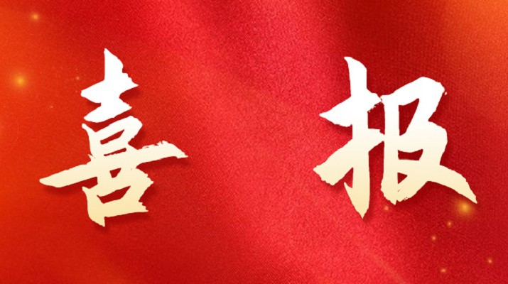 开云在线登录- 开云（中国）集团喜获税务部门表彰